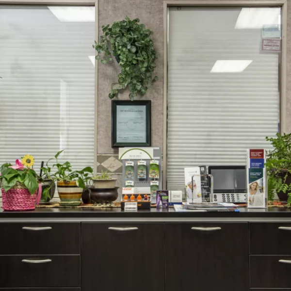 Office waiting room counter with informational pamphlets