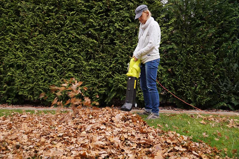 Woman in jeans, sweatshirt, and large-billed cap using electric leaf blower with no ear protection. 