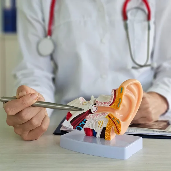A medical doctor using a pen as a pointer to indicate the area of the inner ear on an autonomy model of a human ear, where abnormal buildup of endolymph fluid occurs in cases of Ménière's disease.