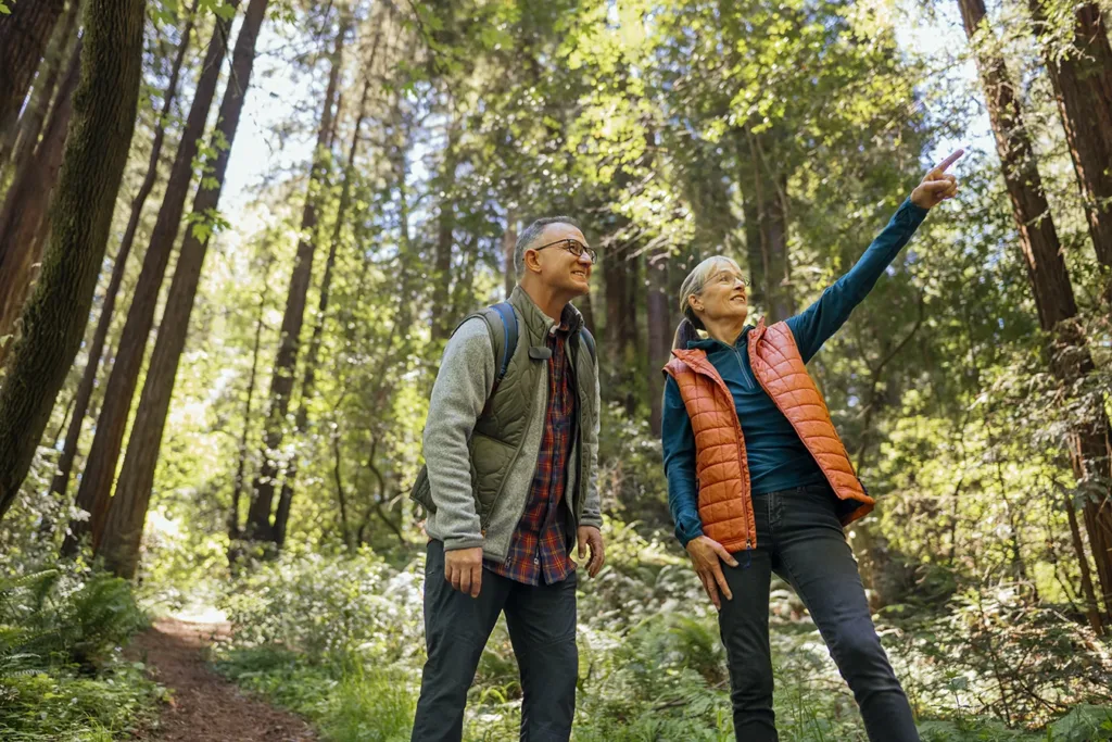 A happy, healthy, and active senior couple, husband and wife, hiking through the Redwood Forest near San Francisco, CA, symbolizing hearing aids safeguarding physical health.